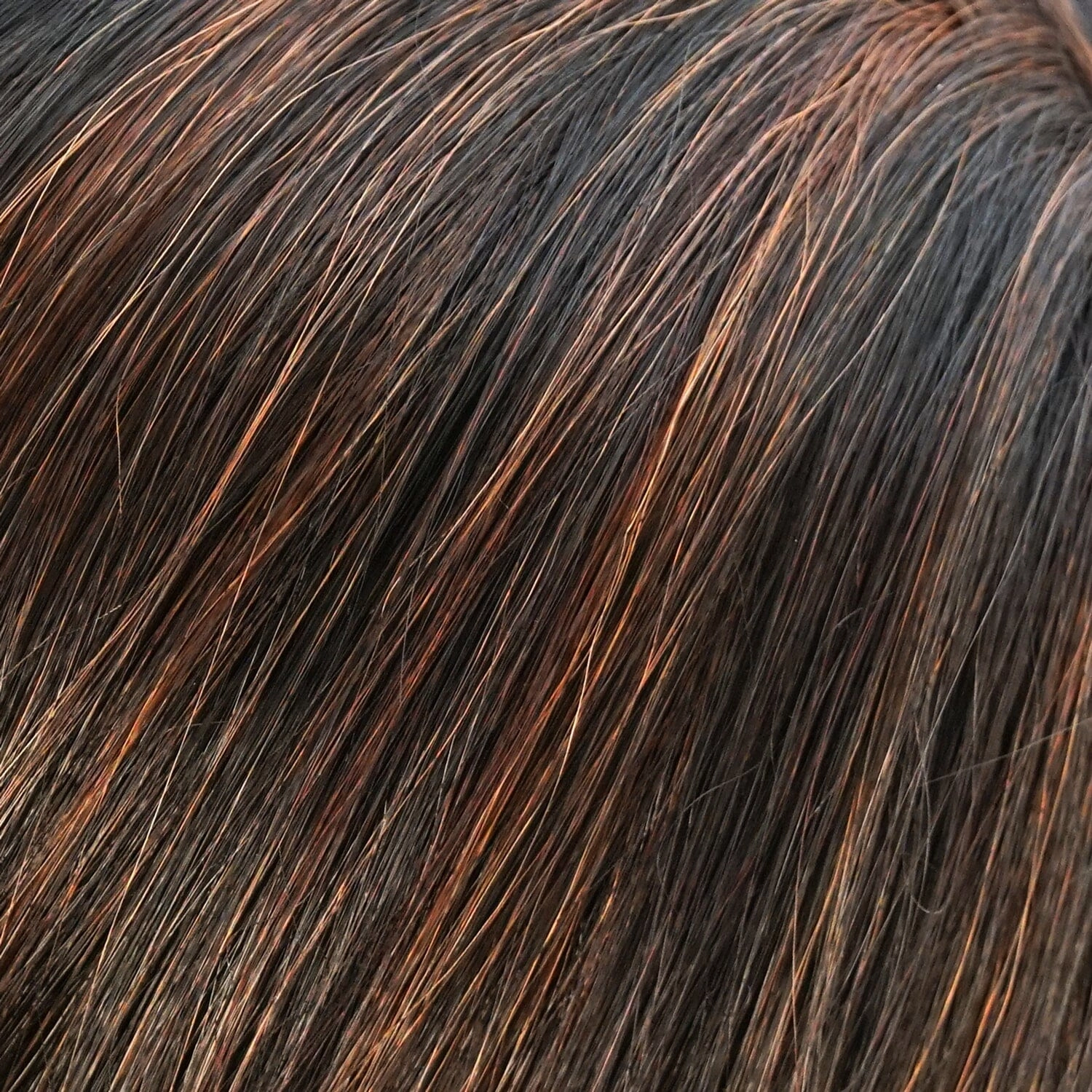 Accessories_Jon Renau_Wigs Ignite Petite by Jon Renau