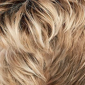 Accessories_Jon Renau_Wigs Kaylee
