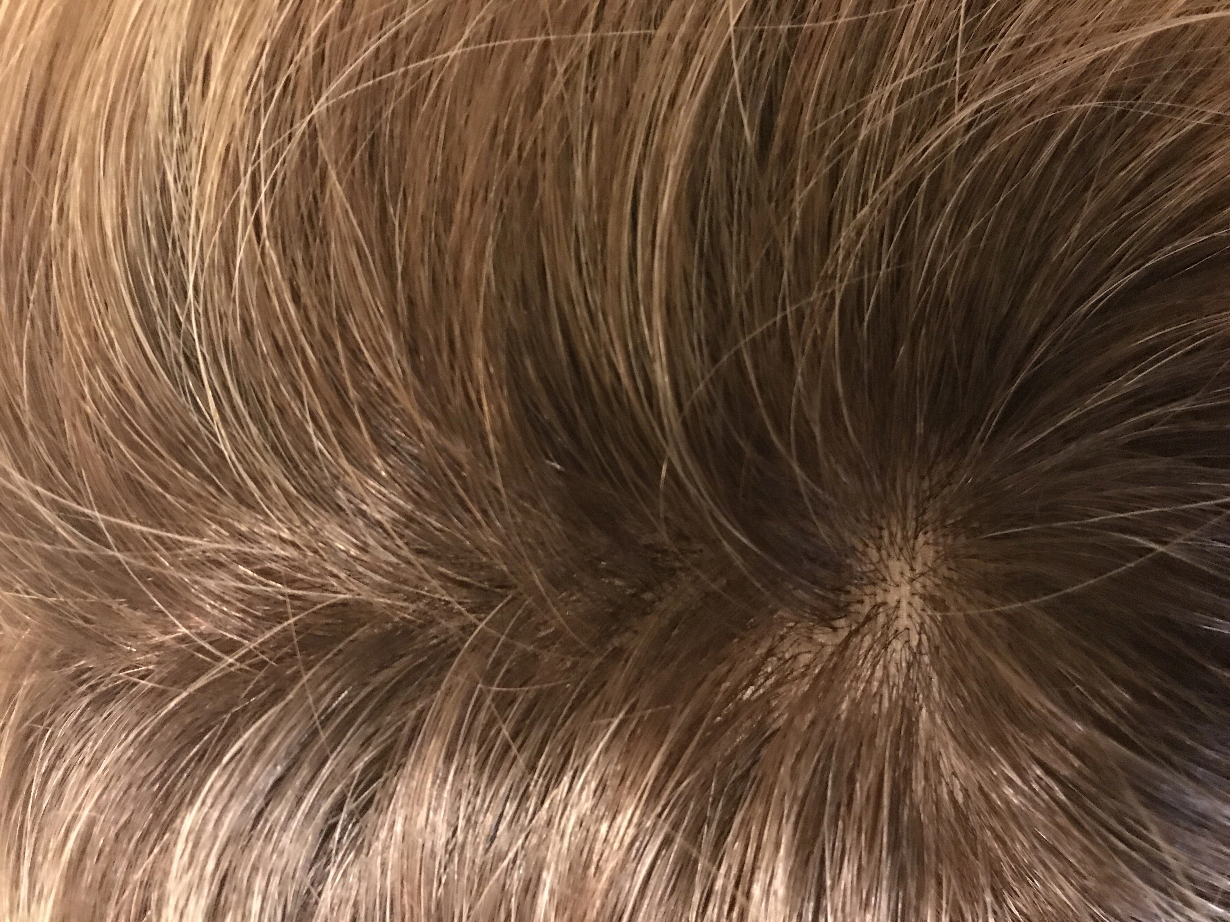 Accessories_Jon Renau_Wigs Top Form French 12" Remy Human Hair Addition by Jon Renau