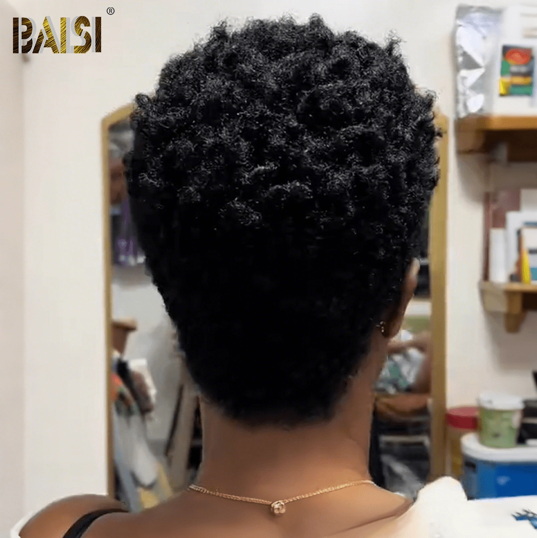 BAISI Afro Curly Short Lace Wig For Black Women