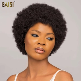 BAISI Full Lace Afro Curl Wig