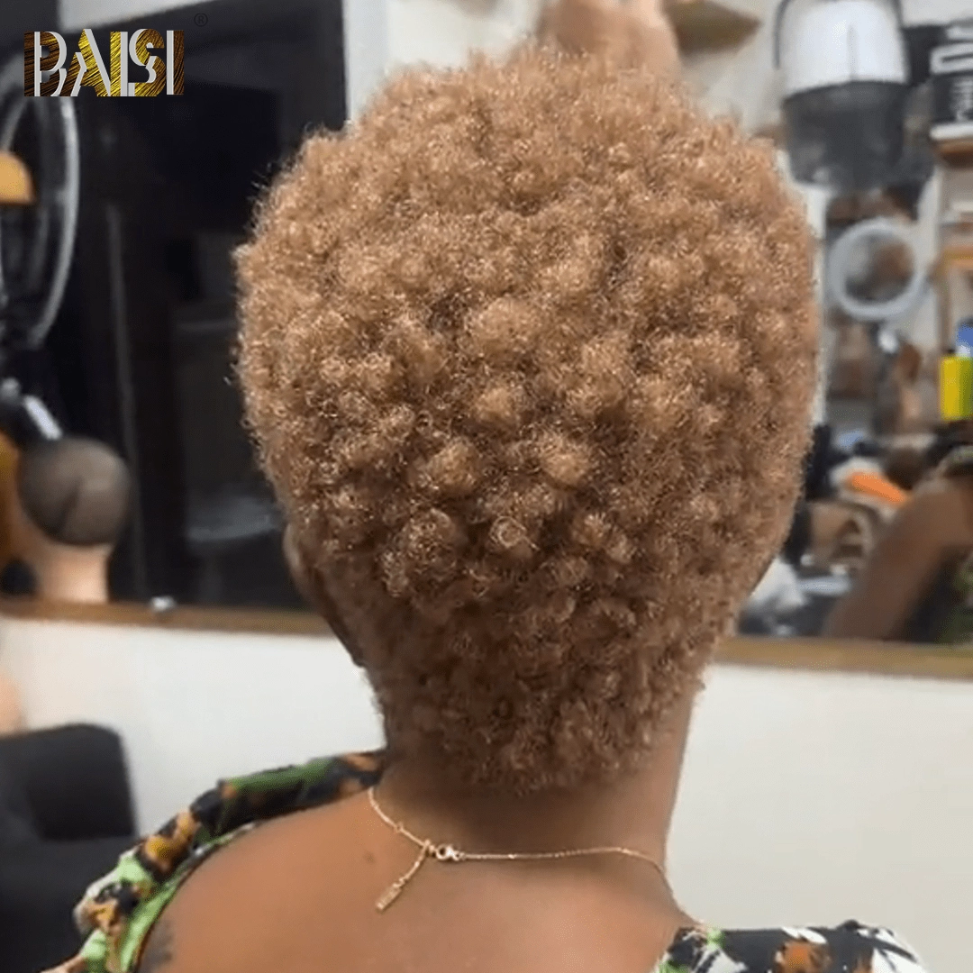 BAISI Honey Blonde Afro Curly Short Lace Wig