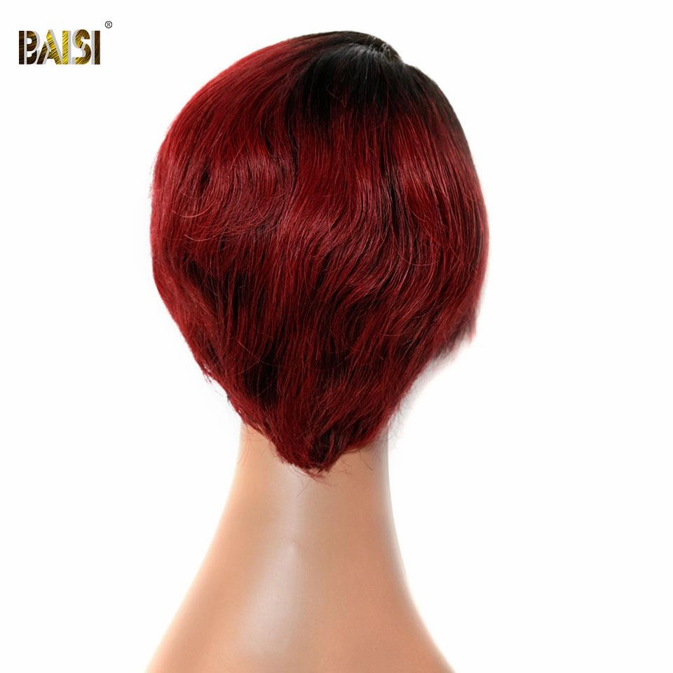 BAISI Pixie Cut Wig 100% Human Hair Lace Wig