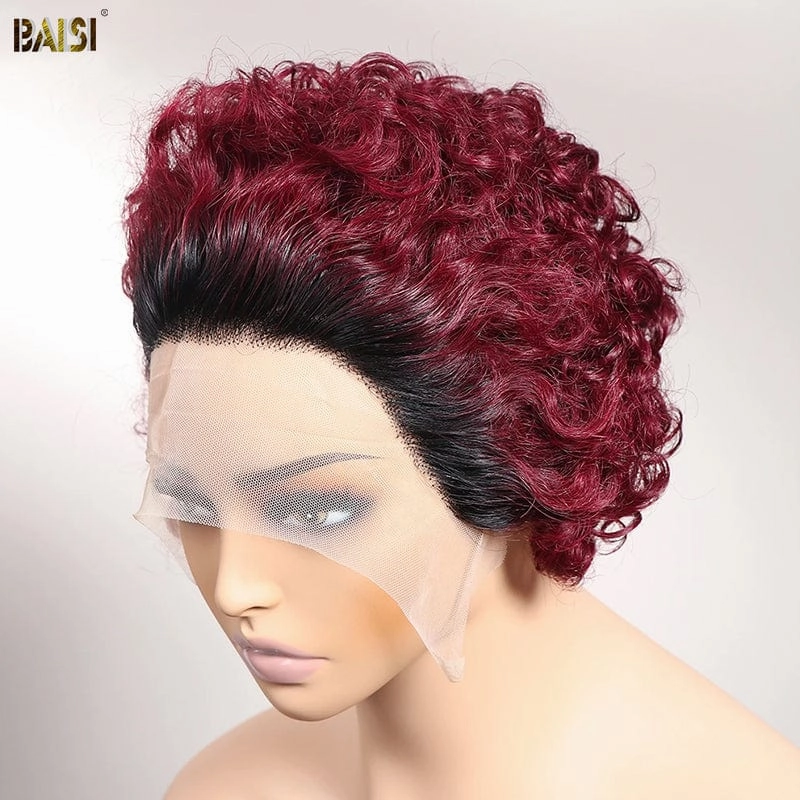 BAISI Virgir Human Hair Curly Hair Short Cut Wig