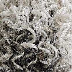 Born To Shine Wig by Raquel Welch | Synthetic Lace Front