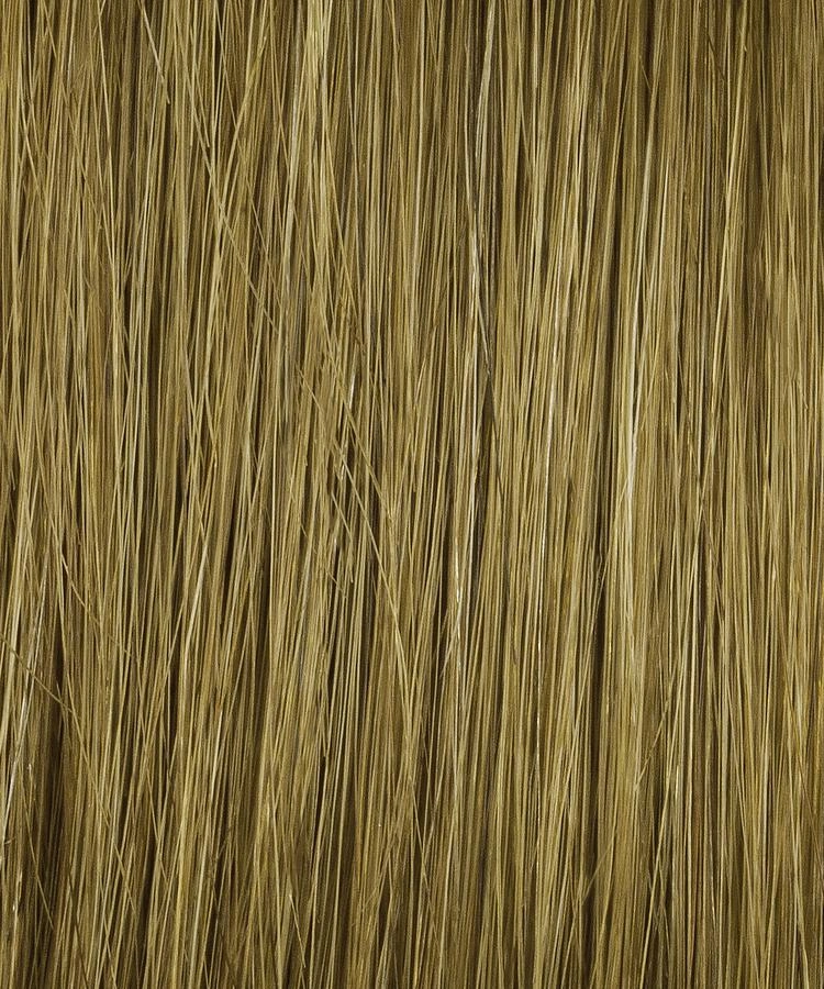 Bravo Wig by Raquel Welch | Human Hair Hair | Average Cap