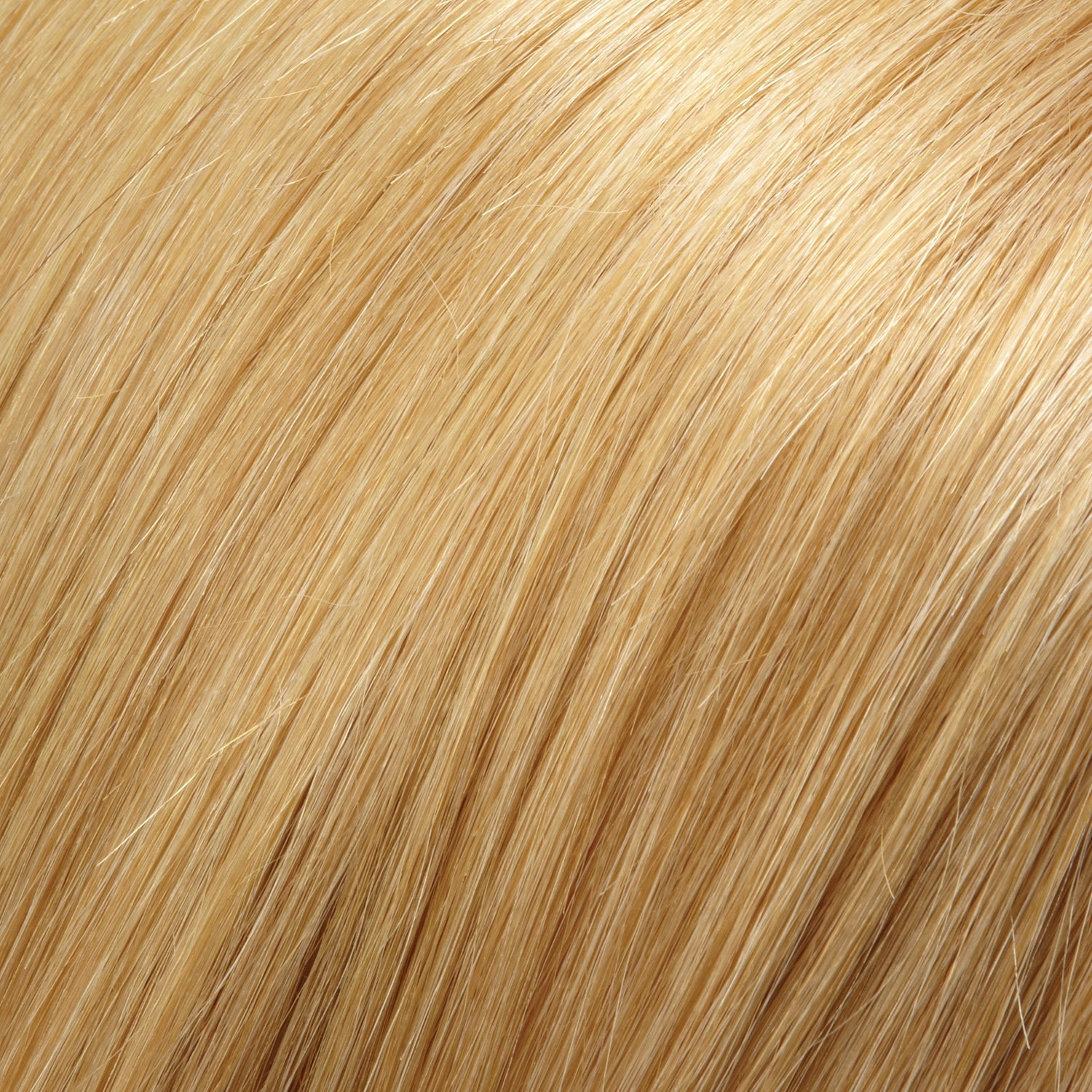 Cara Wig by Jon Renau (Exclusive Colors) | Human Hair
