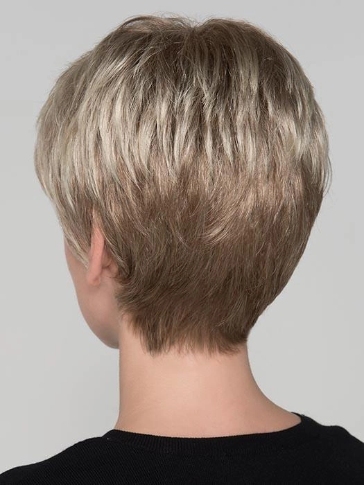 Carol Wig by Ellen Wille | Hair Power | Synthetic Fiber