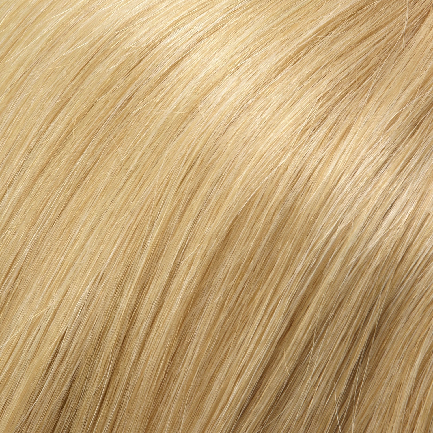 Carrie Lite HT Wig by Jon Renau | Remy Human Hair Hair | Average Cap