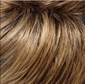Carrie Wig by Jon Renau | Remy Human Hair - Lace Front Mono Top - Renau Colors