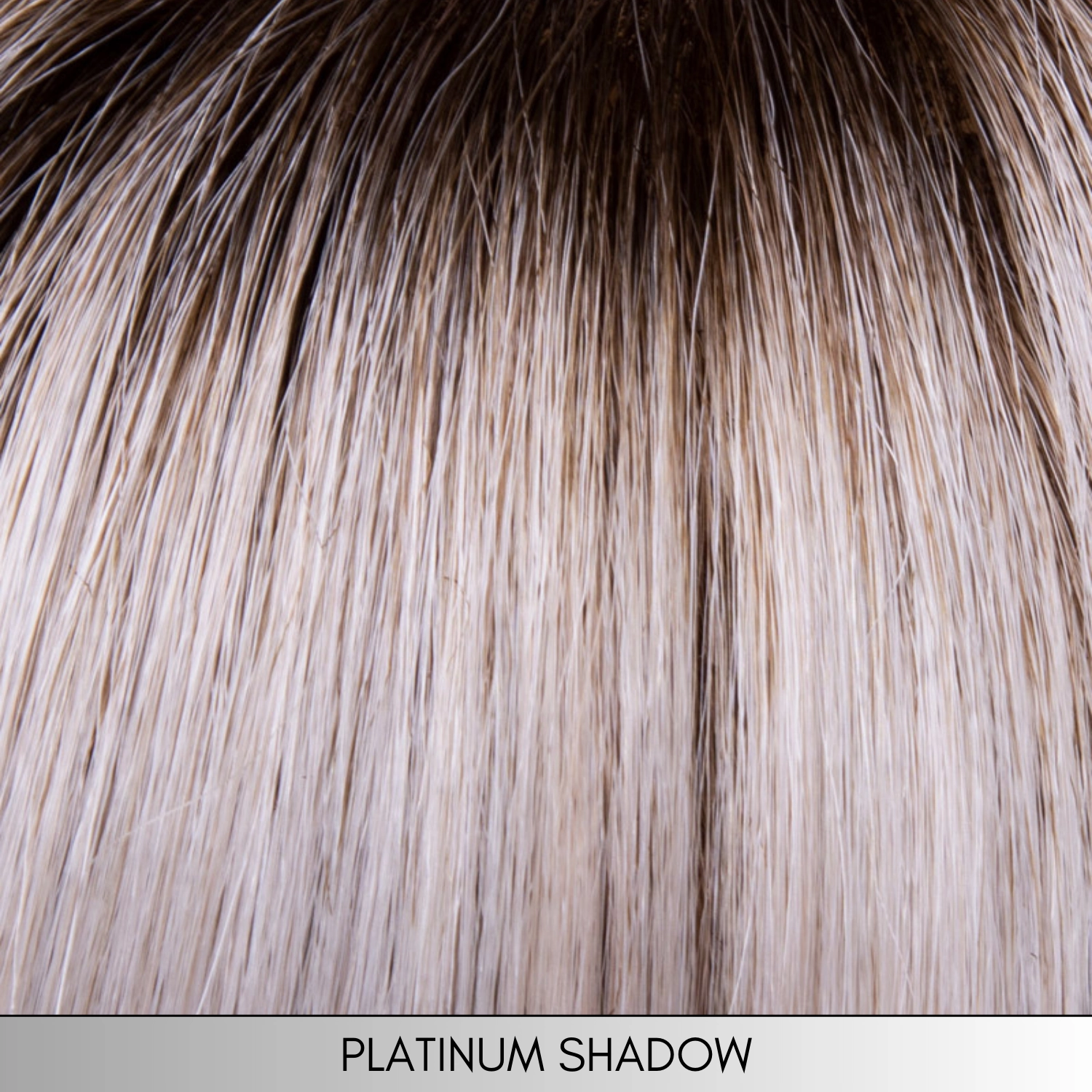 Charlotte - Synthetic Wig Collection by Envy