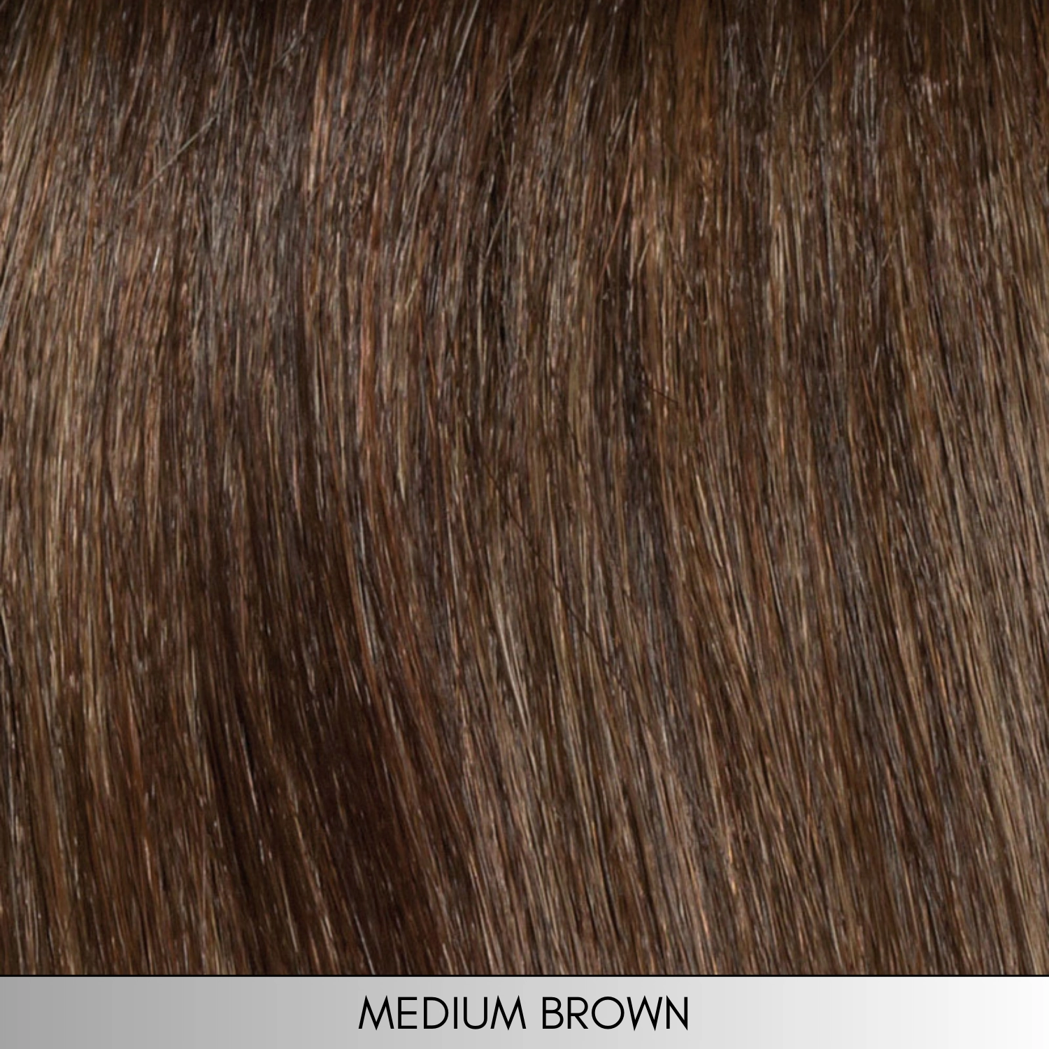 Charlotte - Synthetic Wig Collection by Envy