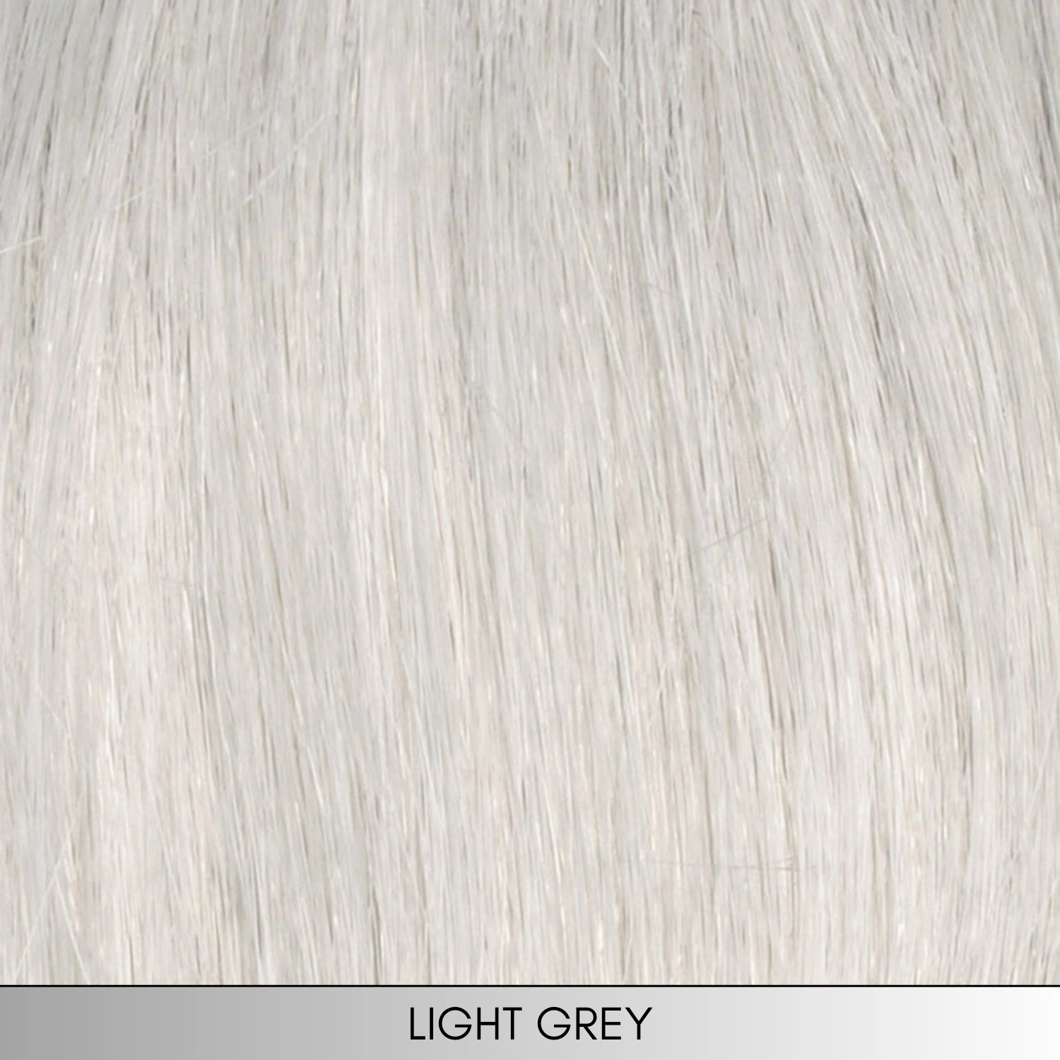 Charlotte - Synthetic Wig Collection by Envy