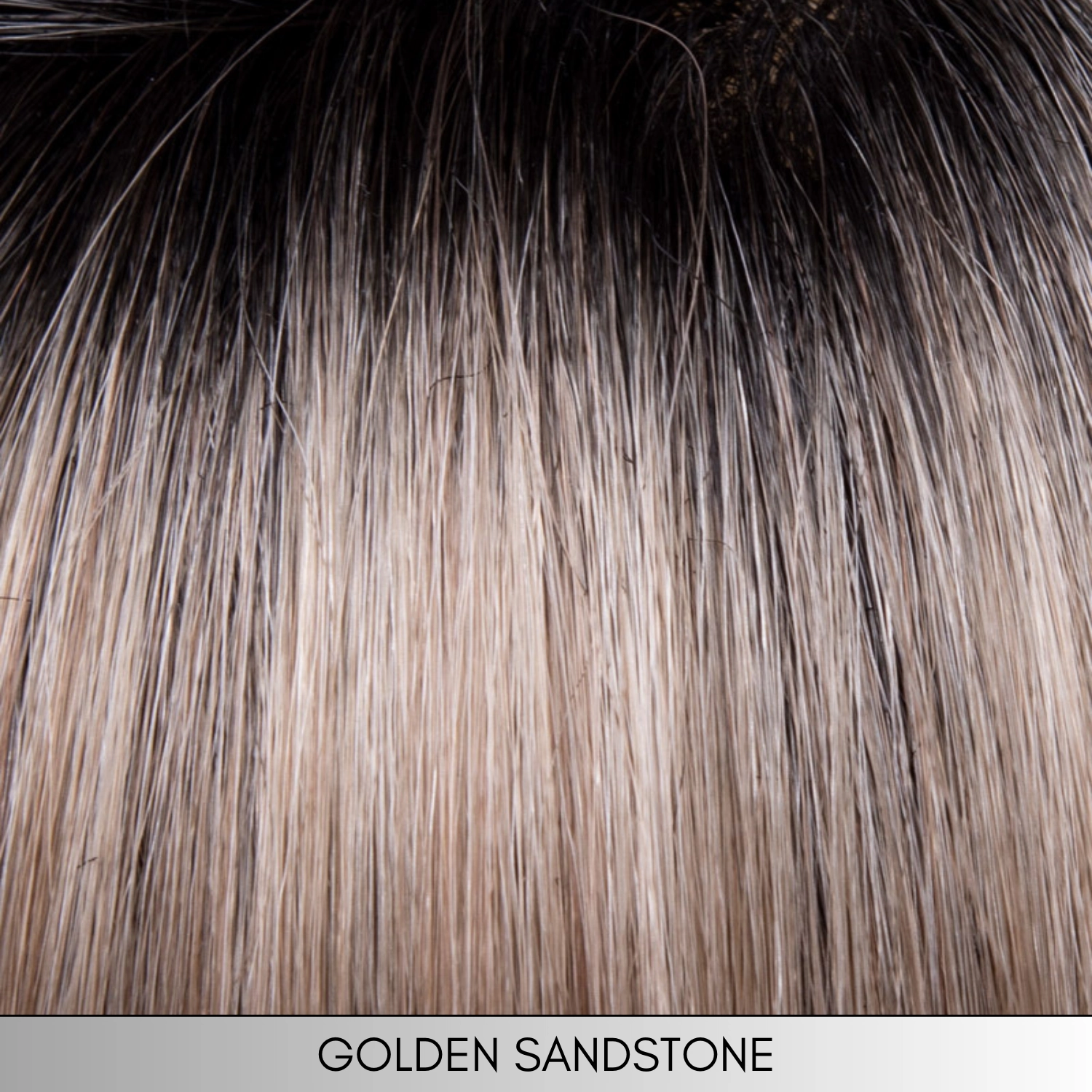 Charlotte - Synthetic Wig Collection by Envy