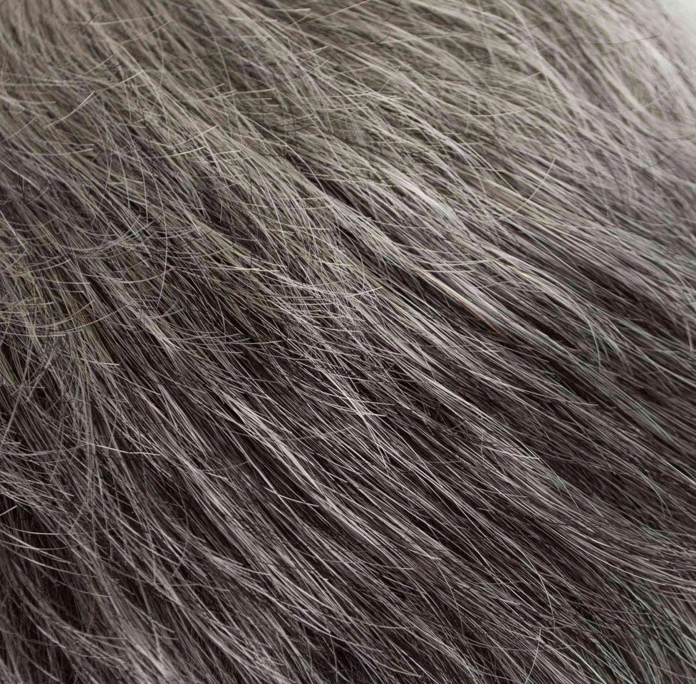 Cora Wig by Tony of Beverly | Heat Friendly Synthetic Wig (Traditional Cap)
