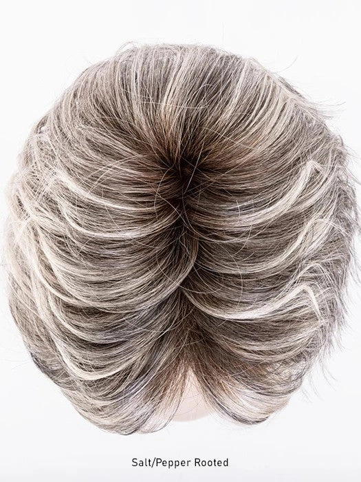 Cover Wig by Ellen Wille | Hair Power | Heat Friendly Synthetic