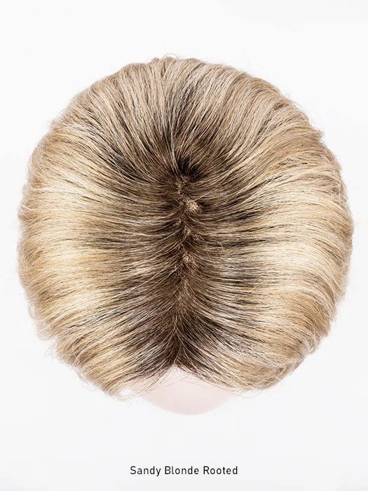 Destiny Wig by Ellen Wille | Hair Power | Extended Lace Front | Mono Part