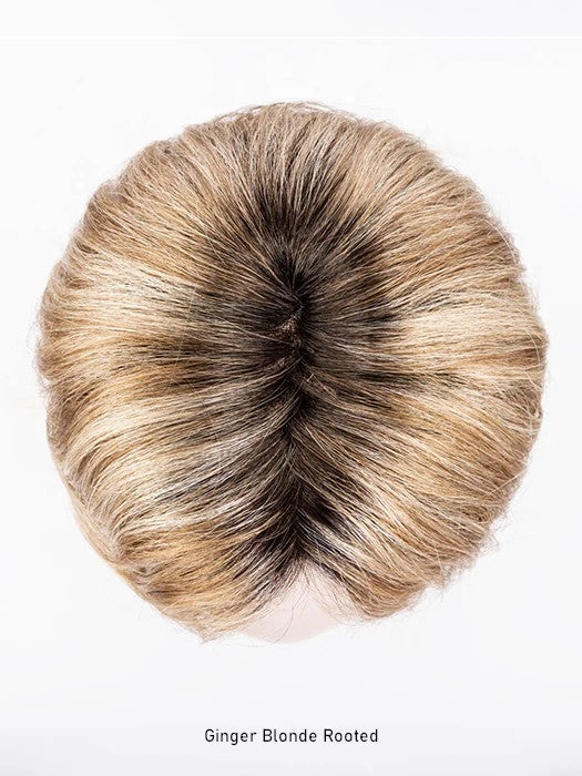 Destiny Wig by Ellen Wille | Hair Power | Extended Lace Front | Mono Part