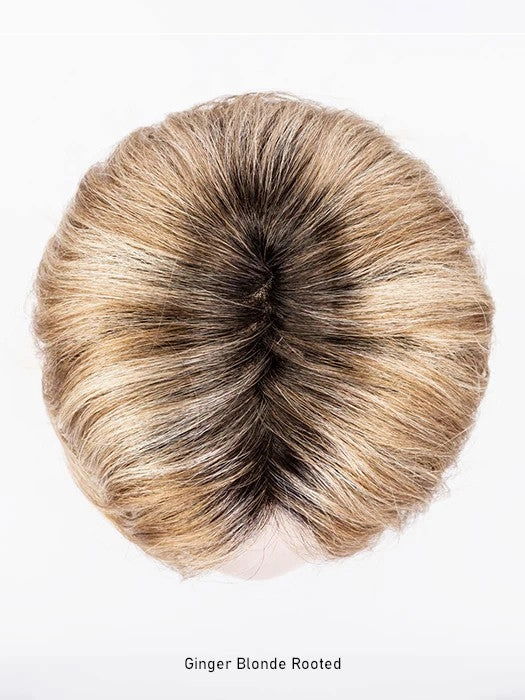 Destiny Wig by Ellen Wille | Hair Power | Extended Lace Front | Mono Part