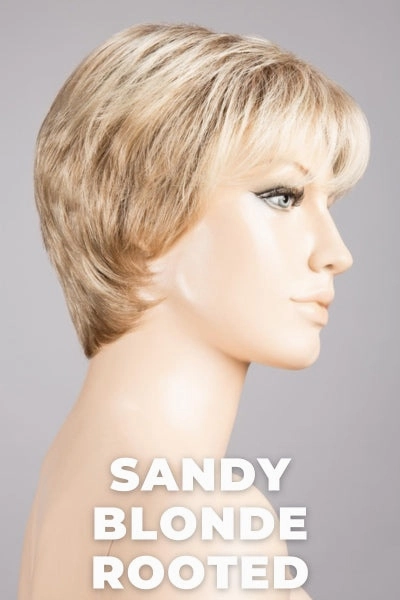 Ellen Wille Wigs - Love Comfort