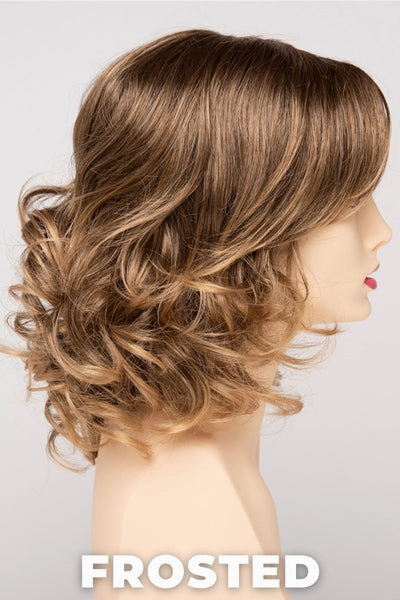 Envy Wigs - Ashley