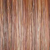 Flip The Script Wig by Raquel Welch | Heat Friendly Synthetic (Lace Front Mono)