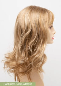 Harmony Wig by Envy | Lace Front | Mono Part | Synthetic Fiber
