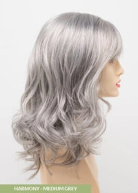 Harmony Wig by Envy | Lace Front | Mono Part | Synthetic Fiber