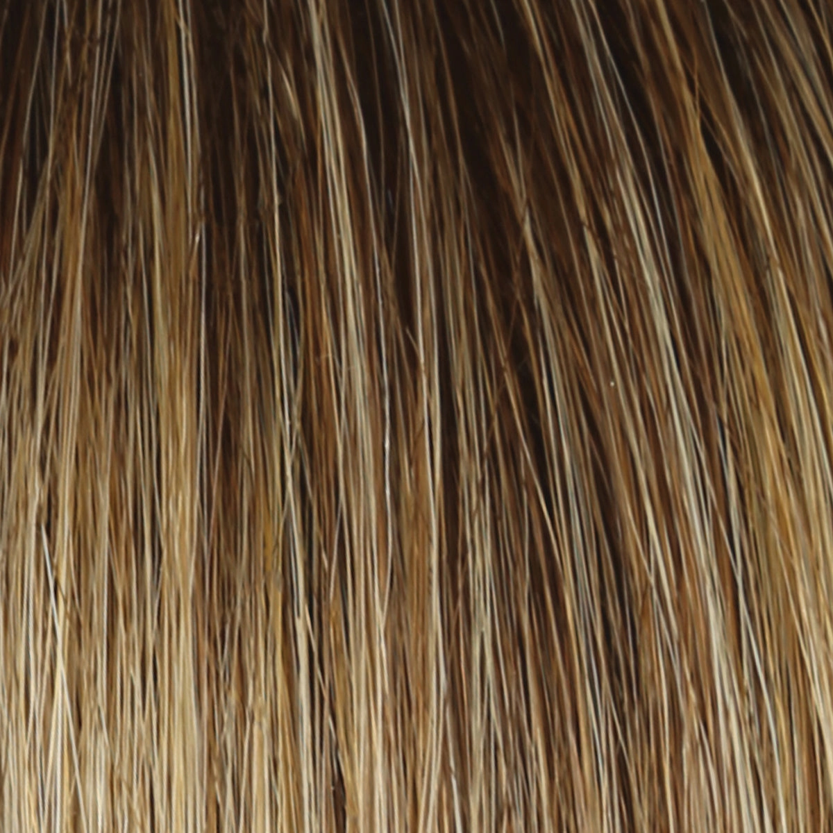 In Charge Wig by Raquel Welch