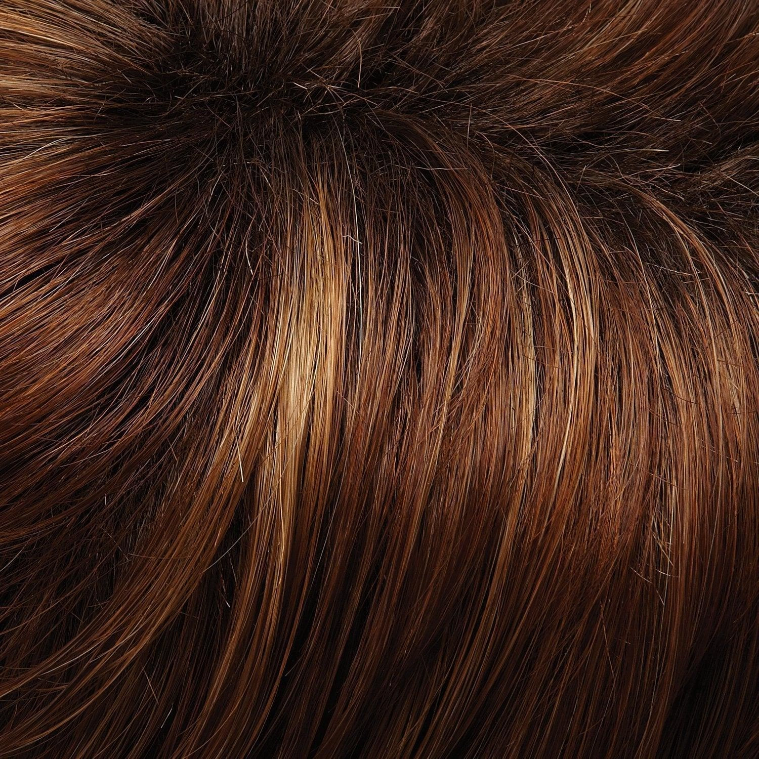 January Hand Tied Wig by Jon Renau | Synthetic Lace Front (Mono Top)