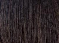 Levy Wig by Amore | Synthetic Lace Front (Double Monofilament)