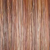 Monologue Wig by Raquel Welch | Heat Friendly Synthetic (Lace Front Mono)