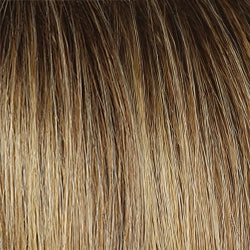 Monologue Wig by Raquel Welch | Heat Friendly Synthetic (Lace Front Mono)