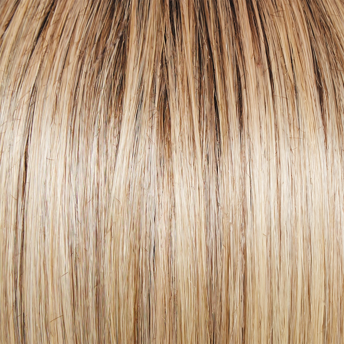 Monologue Wig by Raquel Welch | Heat Friendly Synthetic (Lace Front Mono)