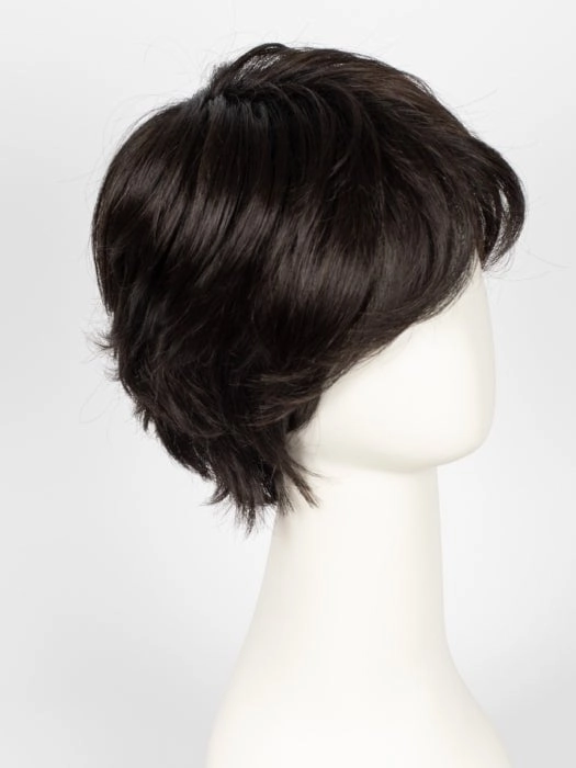 Raise | Synthetic Lace Front Wig