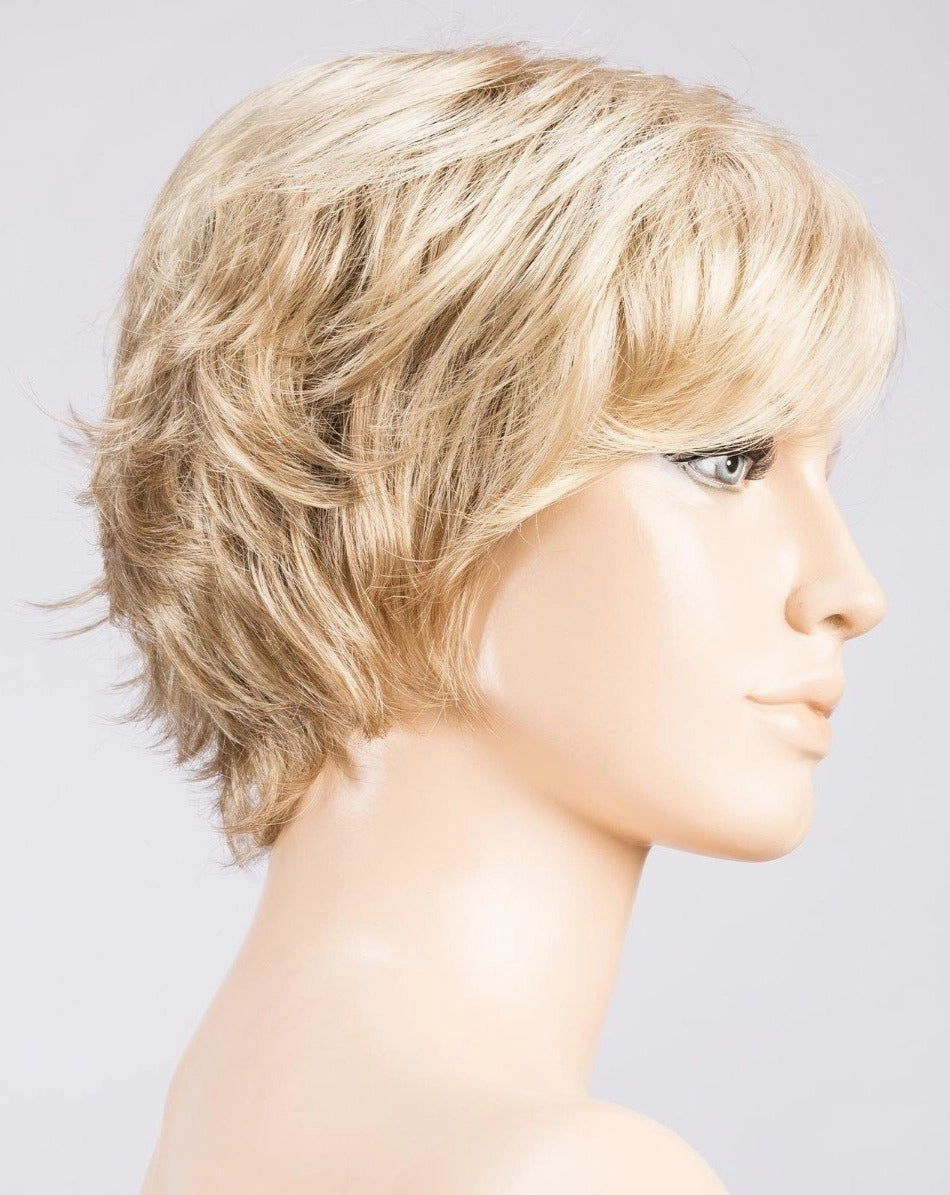 Raise Wig by Ellen Wille | Synthetic Hair | Petite/Average Cap
