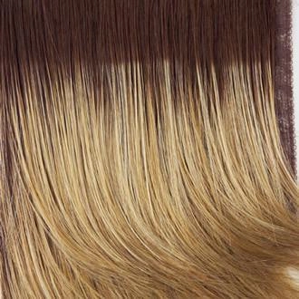 Salsa Wig by Raquel Welch | Synthetic (Traditional Cap)