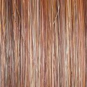Simmer Elite Petite Wig by Raquel Welch | 100% Hand Tied Heat Friendly Synthetic Lace Front (Mono)