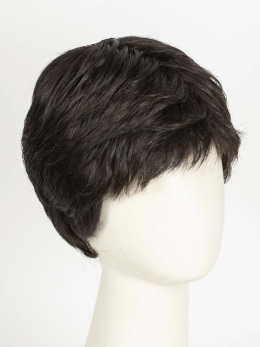 Straight Chic | Synthetic Lace Front Wig (Mono Crown)