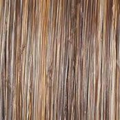 Stroke of Genius Wig by Raquel Welch | Heat Friendly Synthetic Curly Layered (Mono)