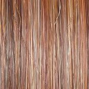 Stroke of Genius Wig by Raquel Welch | Heat Friendly Synthetic Curly Layered (Mono)