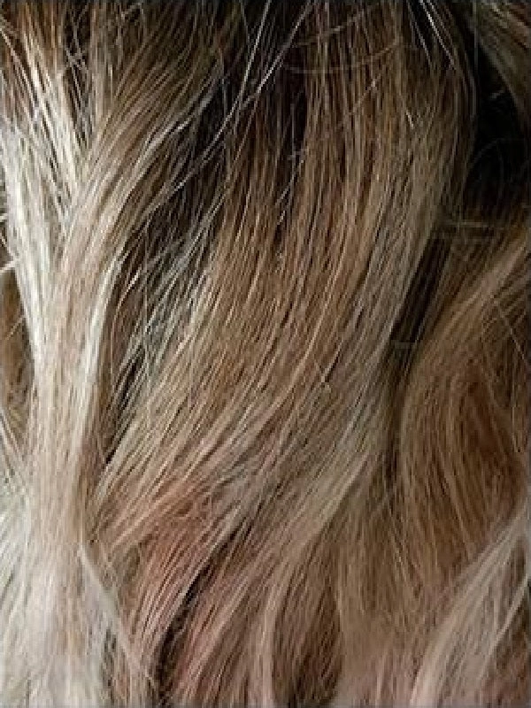Sybil HT Wig by Amore | Synthetic Hair | Average Cap
