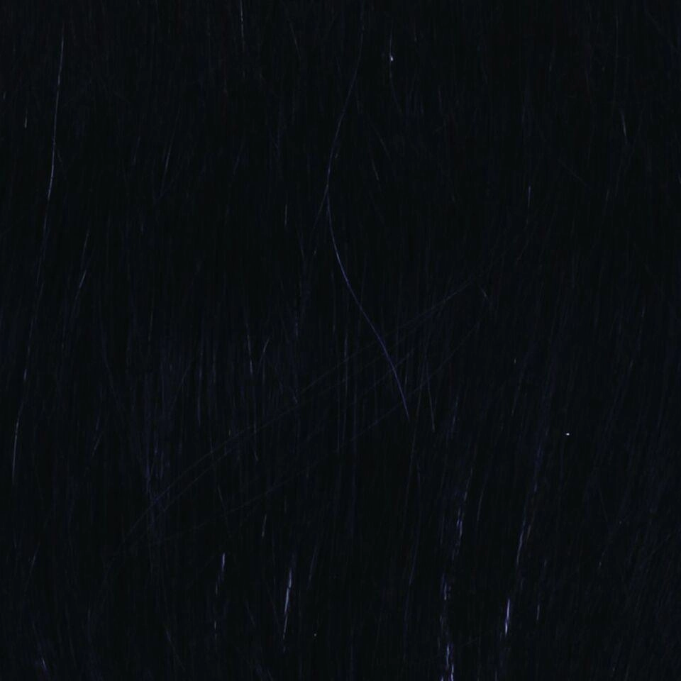 Tress Wig by Raquel Welch | Synthetic (Traditional Cap)