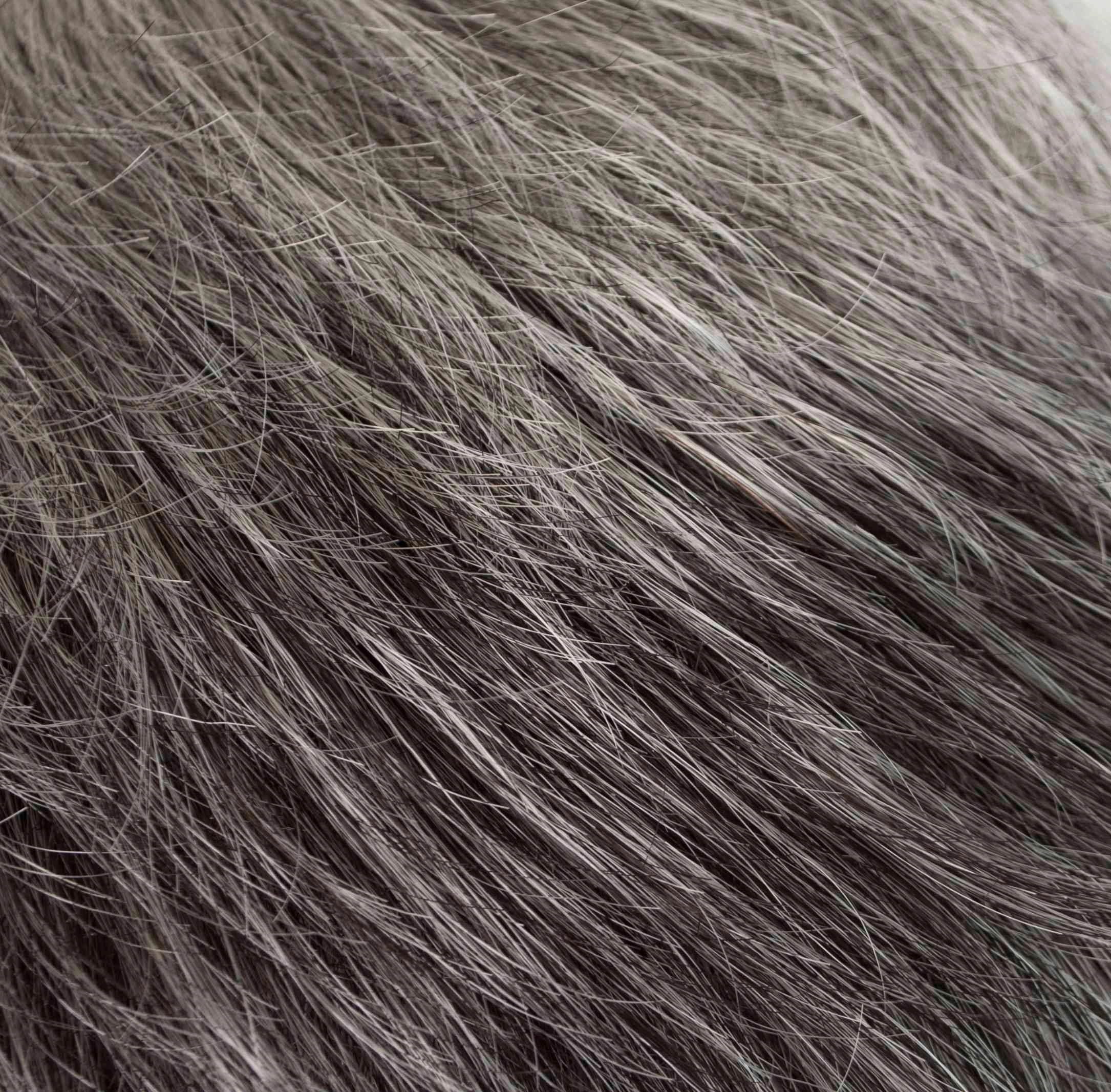 Ultra Petite Dot Wig by Tony of Beverly | Synthetic Wig (Traditional Cap)