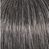 Voltage Wig by Raquel Welch | Synthetic (Basic Cap)