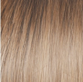 Voltage Wig by Raquel Welch | Synthetic (Basic Cap)