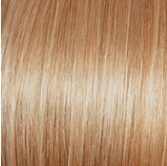 Voltage Wig by Raquel Welch | Synthetic (Basic Cap)