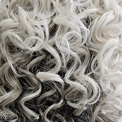 Waves and Raves Wig by Raquel Welch | Synthetic Lace Front Wig (Hand-Tied)
