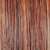 Wavy Day Wig by Raquel Welch | Synthetic Lace Front (Mono Top)