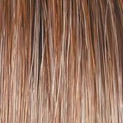 Wavy Day Wig by Raquel Welch | Synthetic Lace Front (Mono Top)